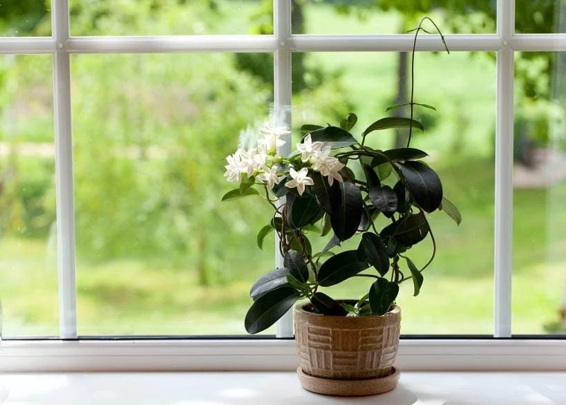 12 ý tưởng trang trí góc nhà tuyệt đẹp mà đơn giản