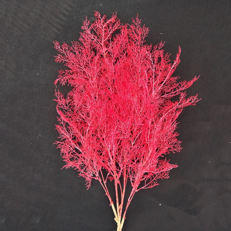 canh co suong mu mo phong