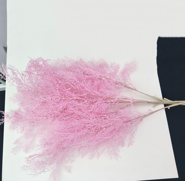 canh co suong mu mo phong