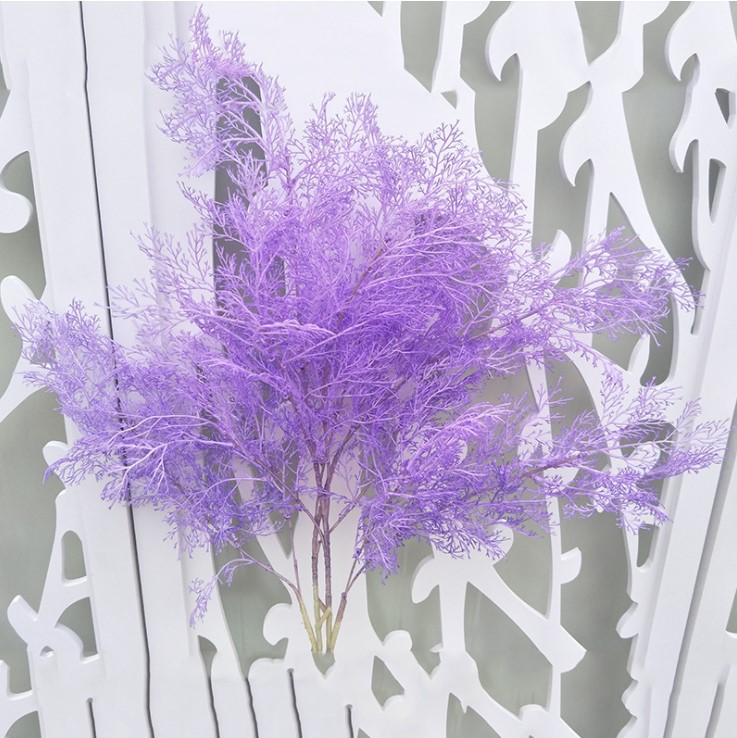 canh co suong mu mo phong