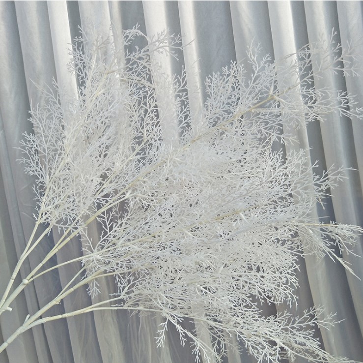 canh co suong mu mo phong