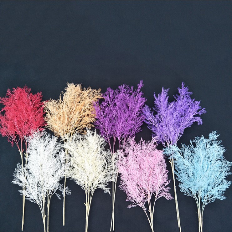 canh co suong mu mo phong