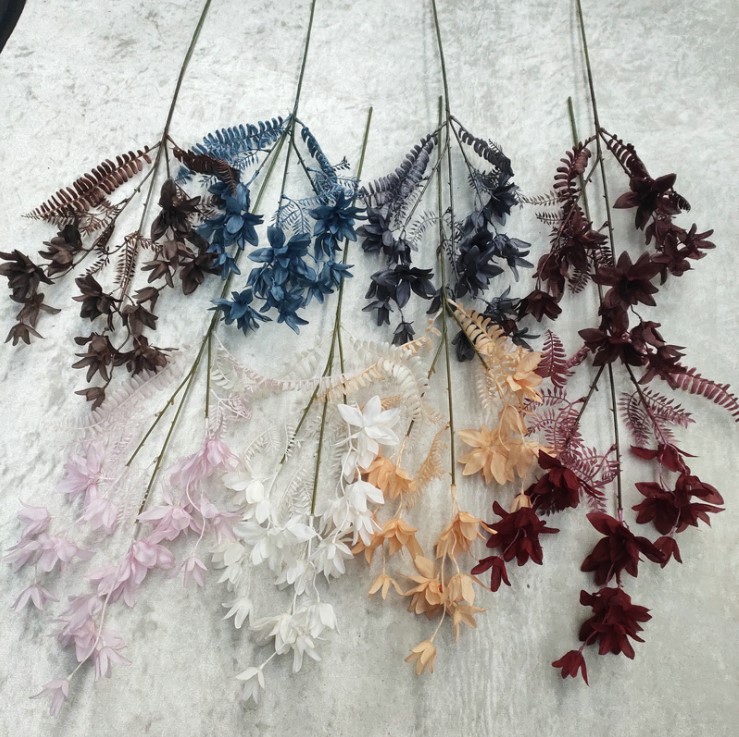 canh hoa phong lan mo phong