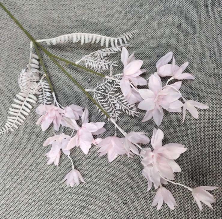 canh hoa phong lan mo phong