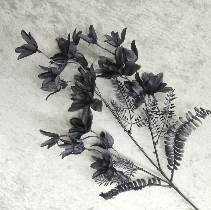 canh hoa phong lan mo phong