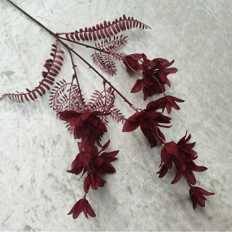 canh hoa phong lan mo phong