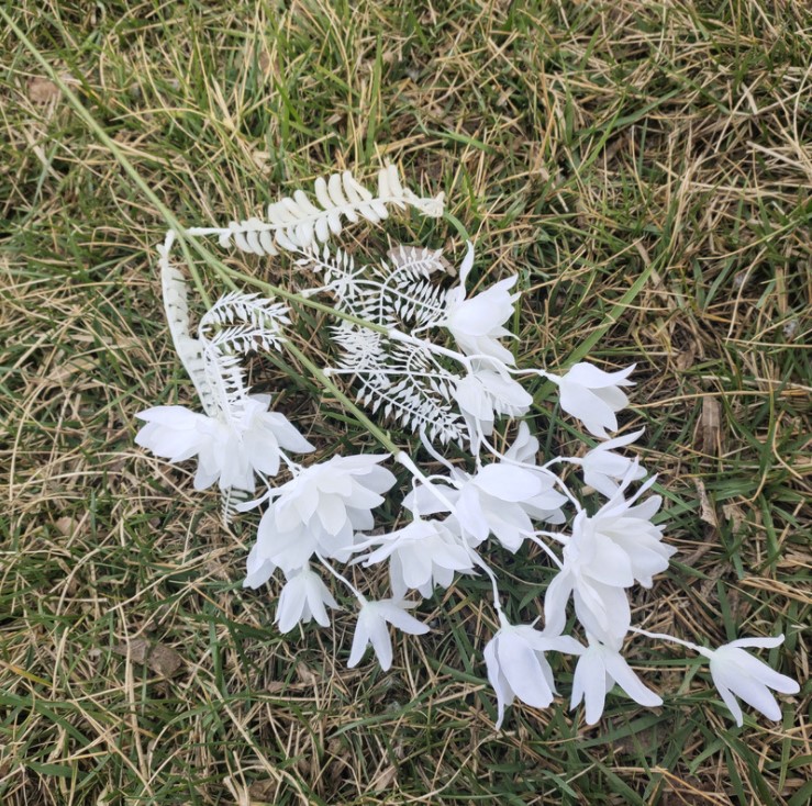 canh hoa phong lan mo phong