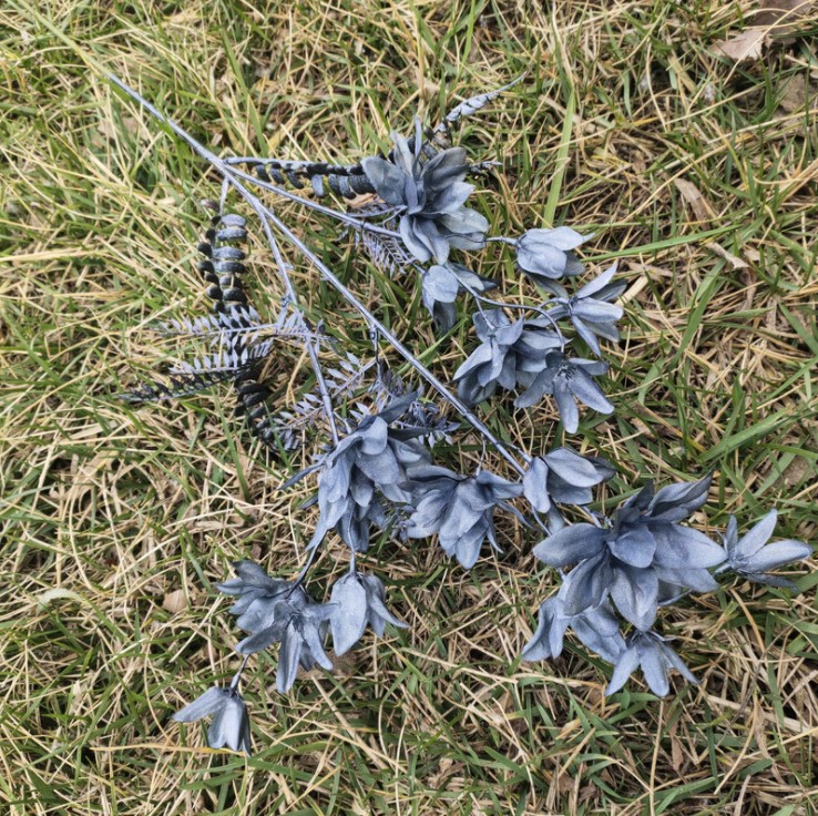 canh hoa phong lan mo phong