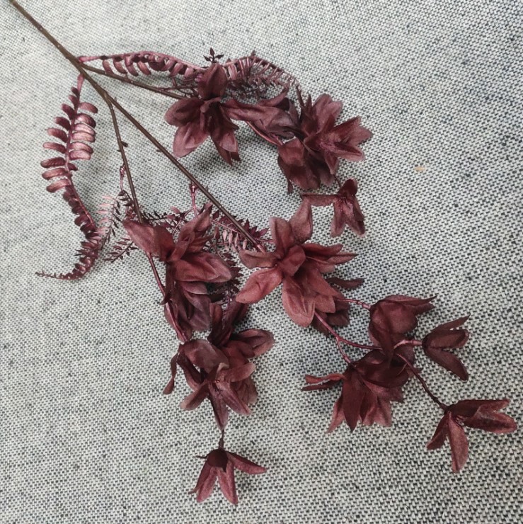 canh hoa phong lan mo phong