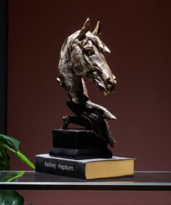 dau ngua trang tri noi that