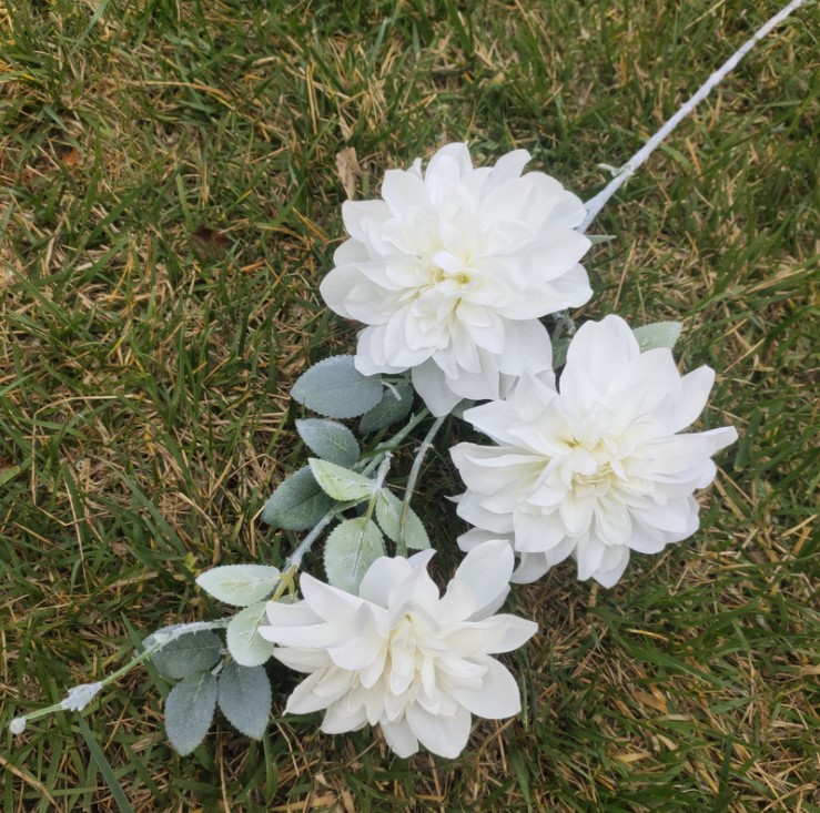 hoa mau don mo phong