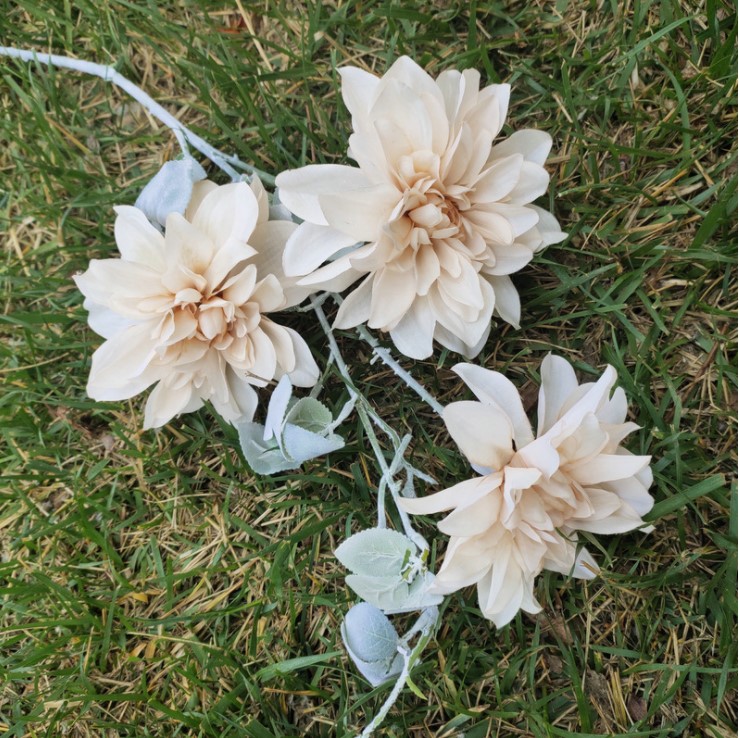 hoa mau don mo phong