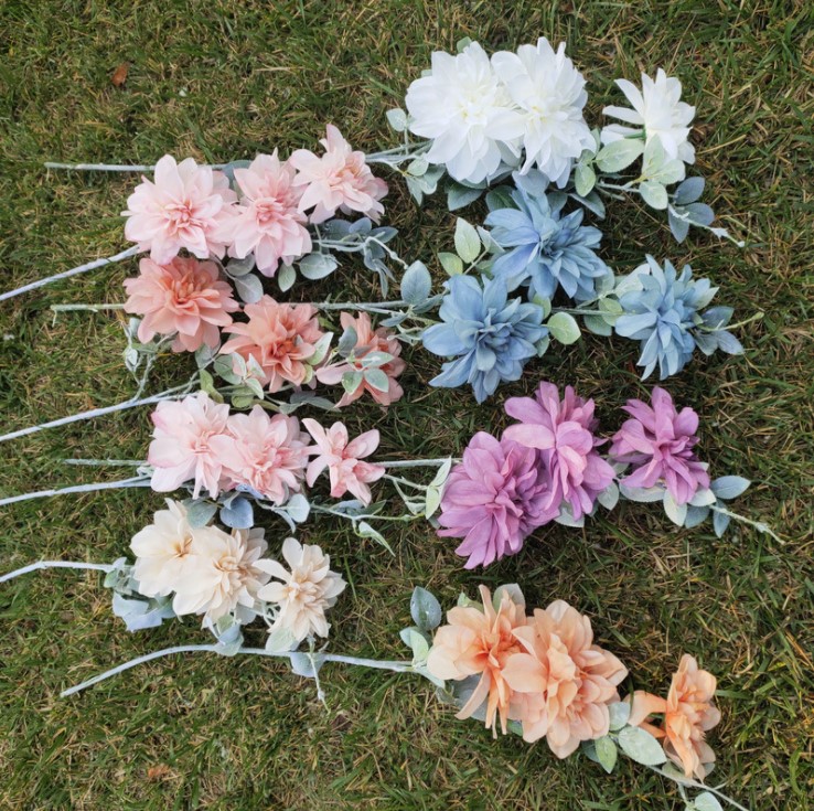 hoa mau don mo phong