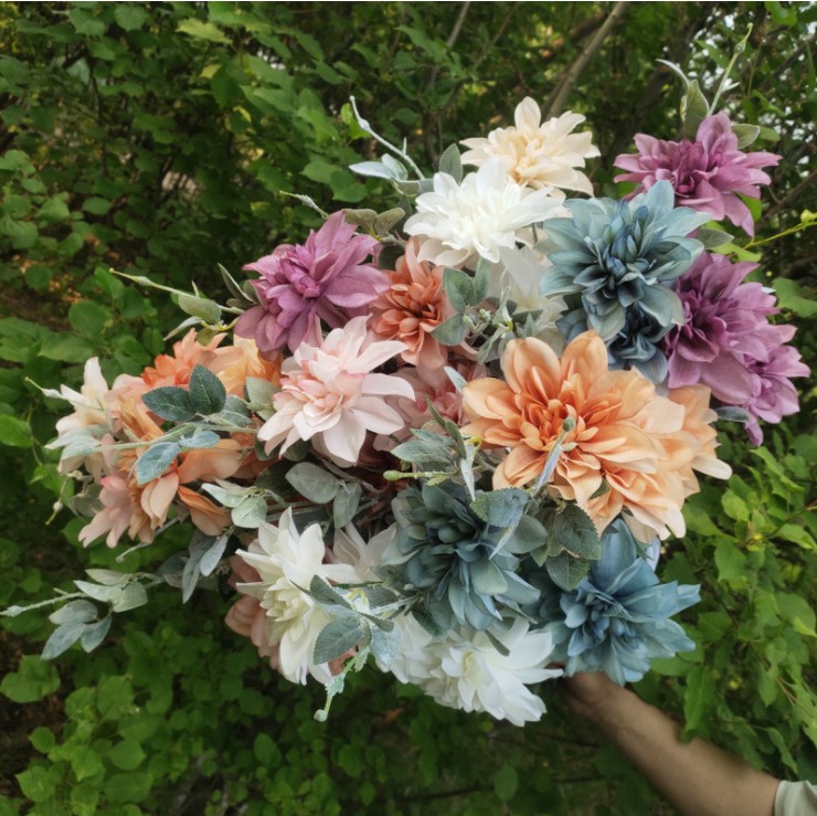 hoa mau don mo phong