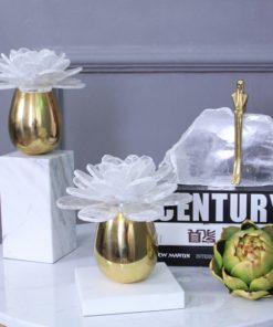 Bộ hoa lựu trang trí