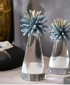 Bông hoa cẩm tú cầu