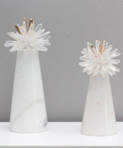 Bông hoa cẩm tú cầu