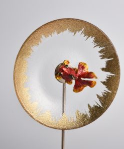 Cá betta đang bơi