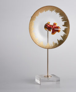 Cá betta đang bơi