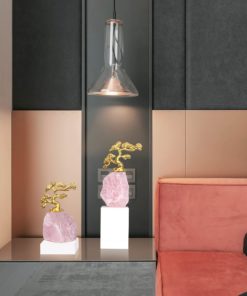 Cây tùng may mắn, tài lộc