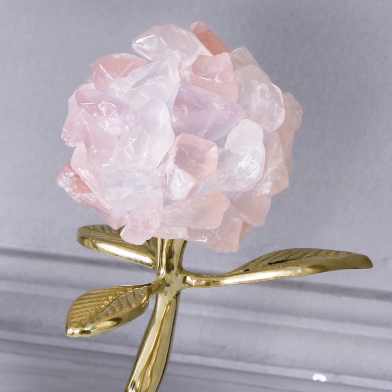 Mô hình cây uốn éo