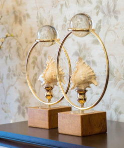 Ốc biển trang trí