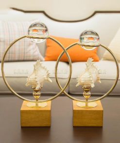 Ốc biển trang trí