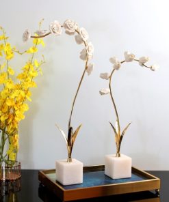 Cành hoa mận trắng