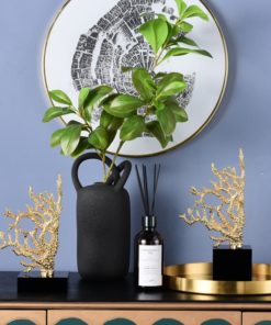 Mô hình san hô đế cẩm thạch