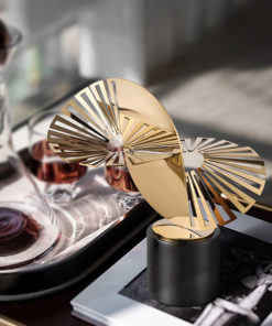 Mô hình số học vô cực