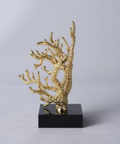 Mô hình san hô đế cẩm thạch