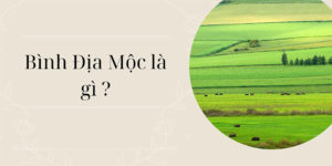 Bình địa mộc là gì