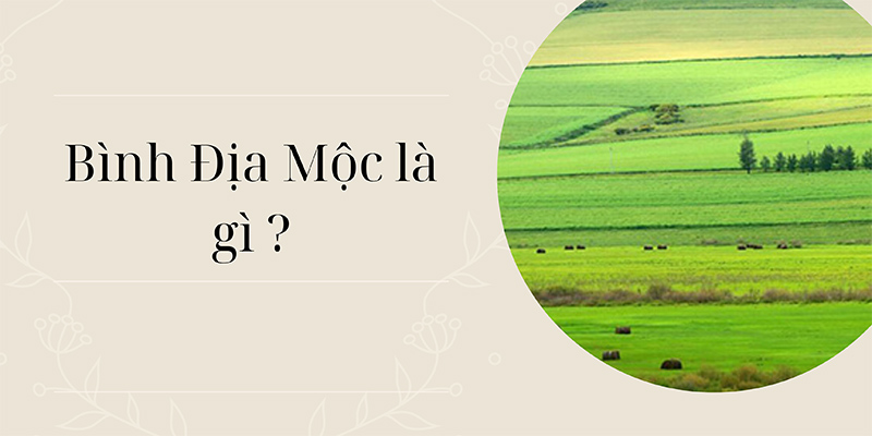 Bình địa mộc là gì