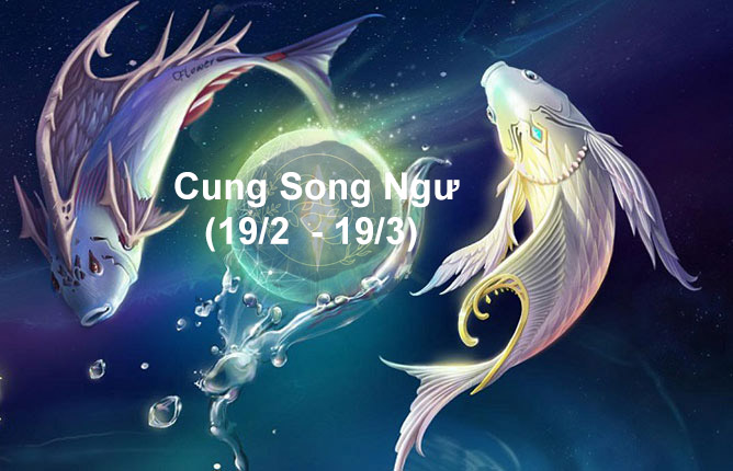 cung song ngu