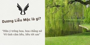 duong lieu moc la gi