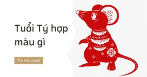 Tuổi tý hợp màu gì khắc màu gì