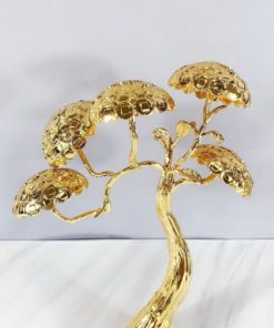Mô hình cây tùng la hán đẹp