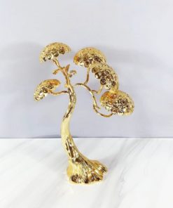 Mô hình cây tùng la hán đẹp