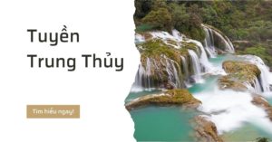 Tuyền Trung Thủy là gì tìm hiểu tính cách và vận mệnh