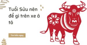 Tuổi Sửu nên để gì trên xe ô tô?