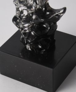 Decor chuồn chuồn trên đá