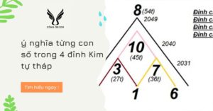 dinh-cao-kim-tu-thap-trong-than-so-hoc-là-gi