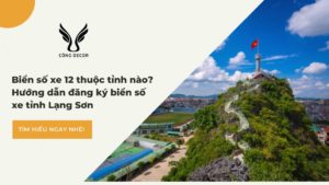 Bien-so-xe-12-thuoc-tinh-nao
