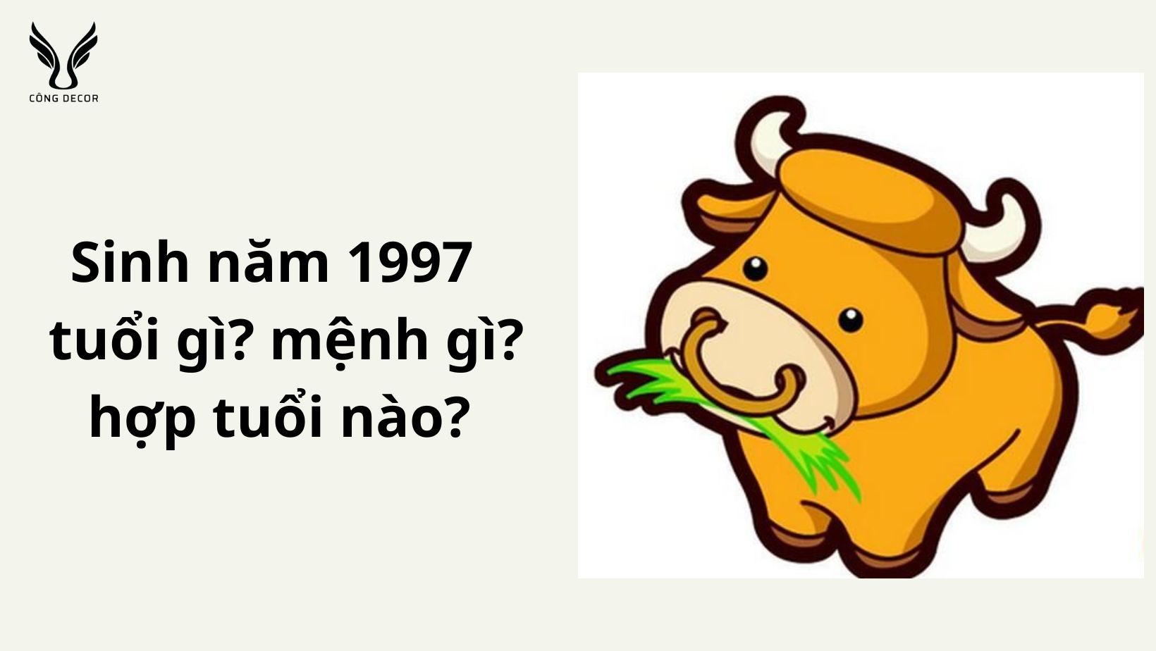 sinh-nam-1997-tuoi-gi-menh-gi