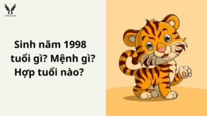 sinh-nam-1998-tuoi-gi