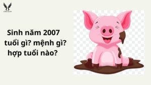 sinh-nam2007-tuoi-gi