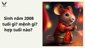 sinh-nam-2008-tuoi-gi
