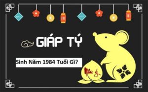 sinh-nam-1984-menh-gi