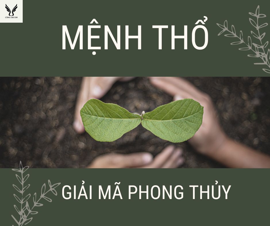 Mệnh Thổ là gì?