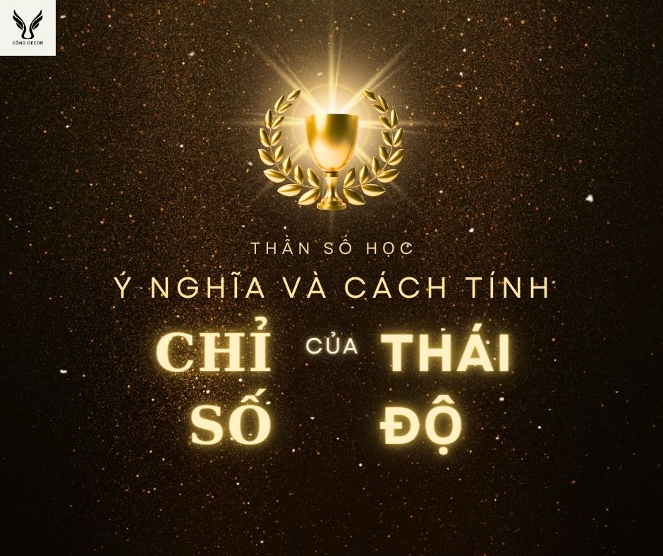 Hướng dẫn cách tính chỉ số thái độ chi tiết và dễ hiểu